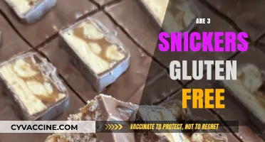 Snickers Gluten-Free Status: Are 3 Bars Safe for Celiacs?