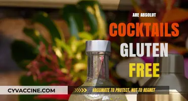 Are Absolut Cocktails Gluten-Free? A Complete Guide for Drinkers