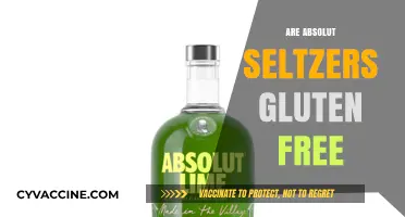 Are Absolut Seltzers Gluten-Free? A Complete Guide for Drinkers