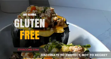 Are Acorns Gluten-Free? Exploring Nature's Nutritional Treasure Safely
