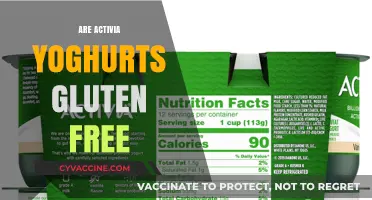 Are Activia Yoghurts Gluten-Free? A Comprehensive Guide for Consumers