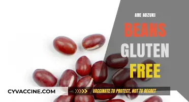 Are Adzuki Beans Gluten-Free? A Nutritional Guide for Celiacs