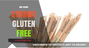 Are Agave Straws Gluten-Free? A Comprehensive Guide for Eco-Conscious Consumers