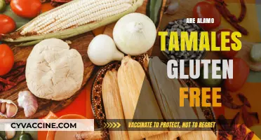 Are Alamo Tamales Gluten-Free? A Complete Guide for Foodies