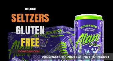 Are Alani Seltzers Gluten-Free? A Complete Guide to Ingredients