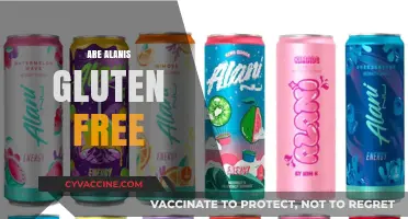 Are Alanis Gluten-Free? Exploring Ingredients and Dietary Options