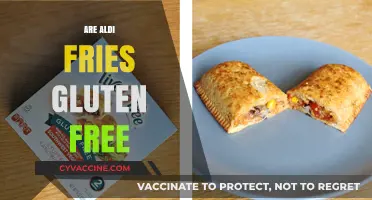Are Aldi Fries Gluten-Free? A Complete Guide for Celiac Shoppers