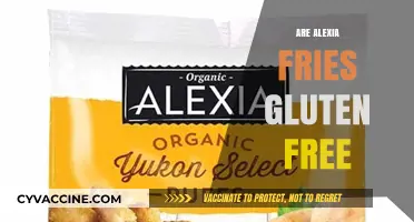 Are Alexia Fries Gluten-Free? A Complete Guide for Celiac Diets