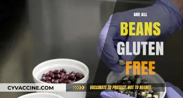 Are All Beans Gluten-Free? A Comprehensive Guide to Bean Varieties