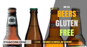 Are All Beers Gluten-Free? Exploring the Truth Behind the Brew