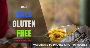 Are All Dals Gluten-Free? A Comprehensive Guide to Lentil Safety