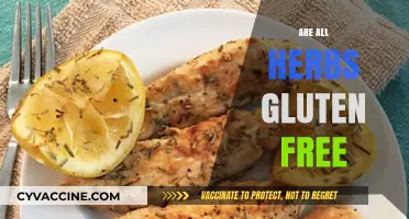 Are All Herbs Gluten-Free? Uncovering the Truth for Celiac Diets