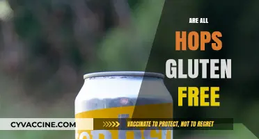 Are All Hops Gluten-Free? Unraveling the Truth for Beer Lovers
