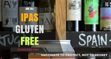 Are All IPAs Gluten-Free? Exploring Craft Beer Options for Celiacs
