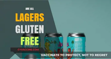 Are All Lagers Gluten-Free? Exploring Beer Options for Celiac Diets