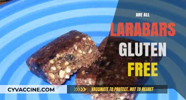 Are All Larabars Gluten-Free? A Comprehensive Guide to Ingredients