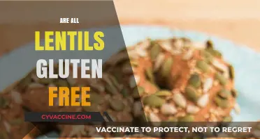 Are All Lentils Gluten-Free? A Clear and Simple Answer