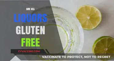 Are All Liquors Gluten-Free? A Guide to Safe Drinking Options