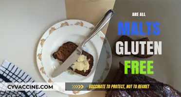 Are All Malts Gluten-Free? Unraveling the Truth for Celiac Diets