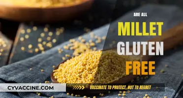 Are All Millets Gluten-Free? Unraveling the Truth for a Healthy Diet