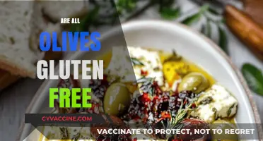 Are All Olives Gluten-Free? A Comprehensive Guide to Olive Safety