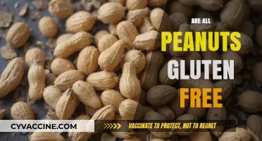 Are All Peanuts Gluten-Free? A Comprehensive Guide to Peanut Safety