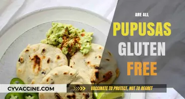 Are Pupusas Gluten-Free? A Complete Guide to Salvadoran Delicacy