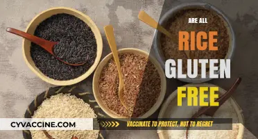 Is All Rice Gluten-Free? A Comprehensive Guide to Safe Grains