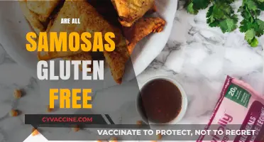 Are Samosas Gluten-Free? Unraveling the Truth Behind This Snack
