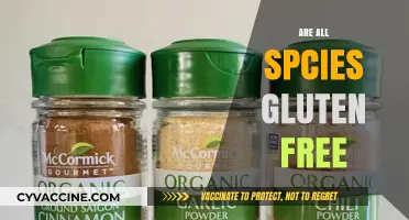 Are All Spices Gluten-Free? A Comprehensive Guide to Safe Seasoning