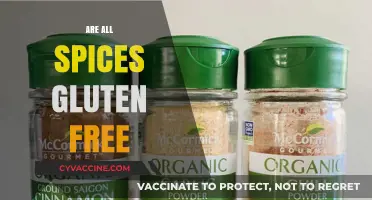 Are All Spices Gluten-Free? Uncovering the Truth for Celiac Diets