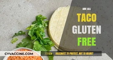 Are All Tacos Gluten-Free? Exploring Ingredients and Safe Options