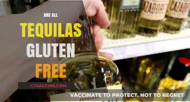 Is Your Tequila Gluten-Free? Uncovering the Truth About Tequila