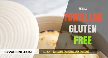 Are All Tortillas Gluten-Free? A Comprehensive Guide to Safe Options