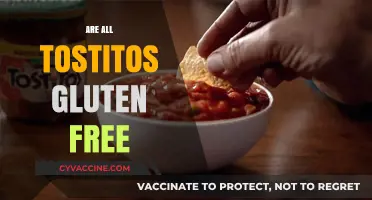 Are All Tostitos Gluten-Free? A Crunchy Snack Fact Check