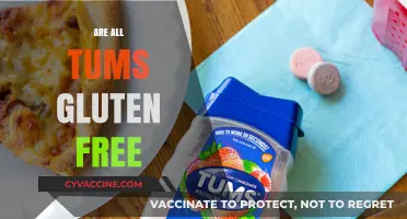 Are All Tums Gluten-Free? A Comprehensive Guide to Safe Consumption