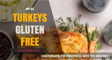 Are All Turkeys Gluten-Free? Uncovering the Truth for Your Diet