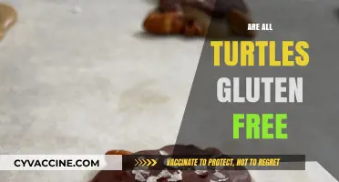 Are All Turtles Gluten-Free? Unraveling the Myth and Facts