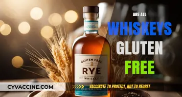 Are All Whiskeys Gluten-Free? Unraveling the Truth for Celiac Drinkers