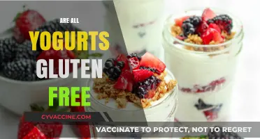 Are All Yogurts Gluten-Free? A Comprehensive Guide to Safe Options
