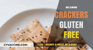 Are Almond Crackers Gluten-Free? A Crunchy Snack Guide