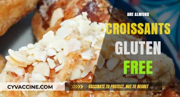 Are Almond Croissants Gluten-Free? A Delicious Breakfast Dilemma Explained