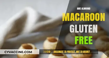 Are Almond Macaroons Gluten-Free? A Delicious Dietary Dilemma Explained