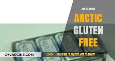 Are Altoids Arctic Gluten-Free? A Comprehensive Guide to Ingredients