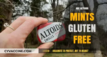 Are Altoids Mints Gluten-Free? A Complete Guide for Celiacs