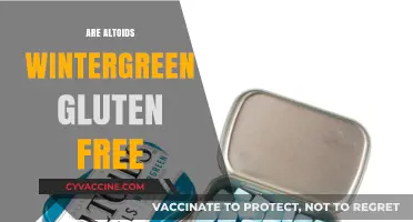 Are Altoids Wintergreen Gluten-Free? A Complete Guide for Celiacs