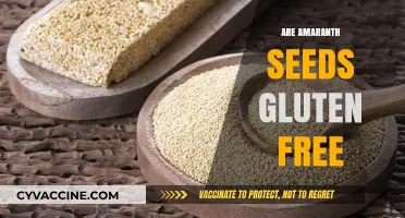 Are Amaranth Seeds Gluten-Free? A Comprehensive Guide for Celiacs