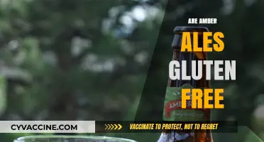 Are Amber Ales Gluten-Free? Exploring Beer Options for Celiac Diets