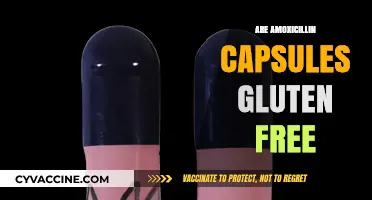 Are Amoxicillin Capsules Gluten-Free? A Comprehensive Guide for Patients