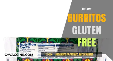 Are Amy's Burritos Gluten-Free? A Complete Guide for Celiac Eaters